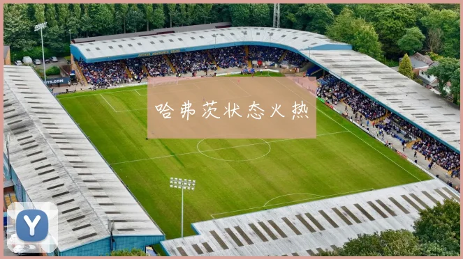 哈弗茨状态火热