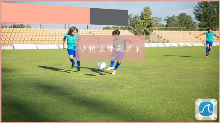 沙特交锋匈牙利