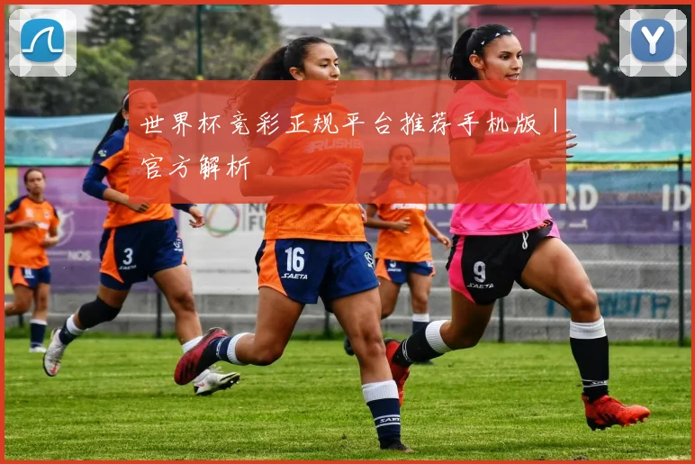 世界杯竞彩正规平台推荐手机版｜官方解析