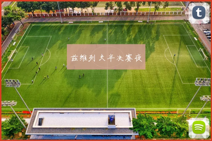 兹维列夫半决赛夜