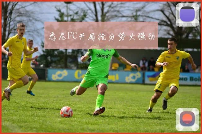 悉尼FC开局抢分势头强劲