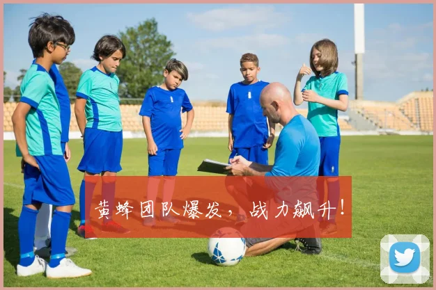黄蜂团队爆发，战力飙升！