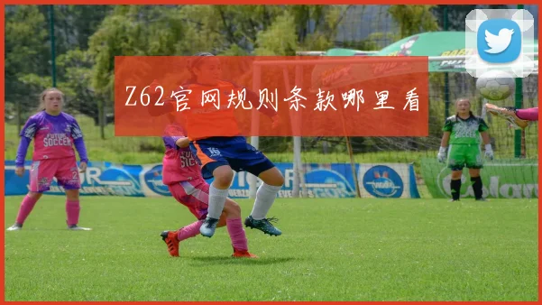 Z62官网规则条款哪里看
