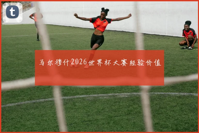 马尔穆什2026世界杯大赛经验价值