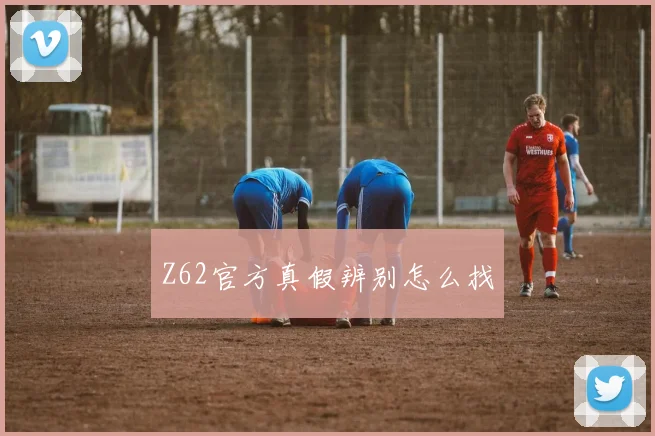 Z62官方真假辨别怎么找