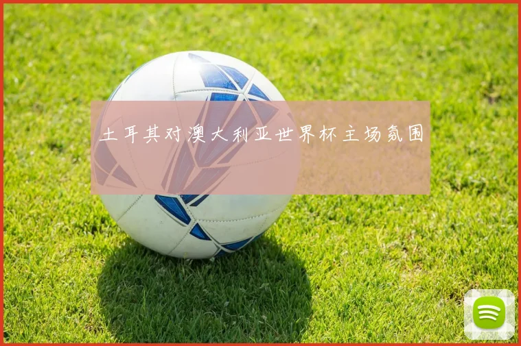 土耳其对澳大利亚世界杯主场氛围